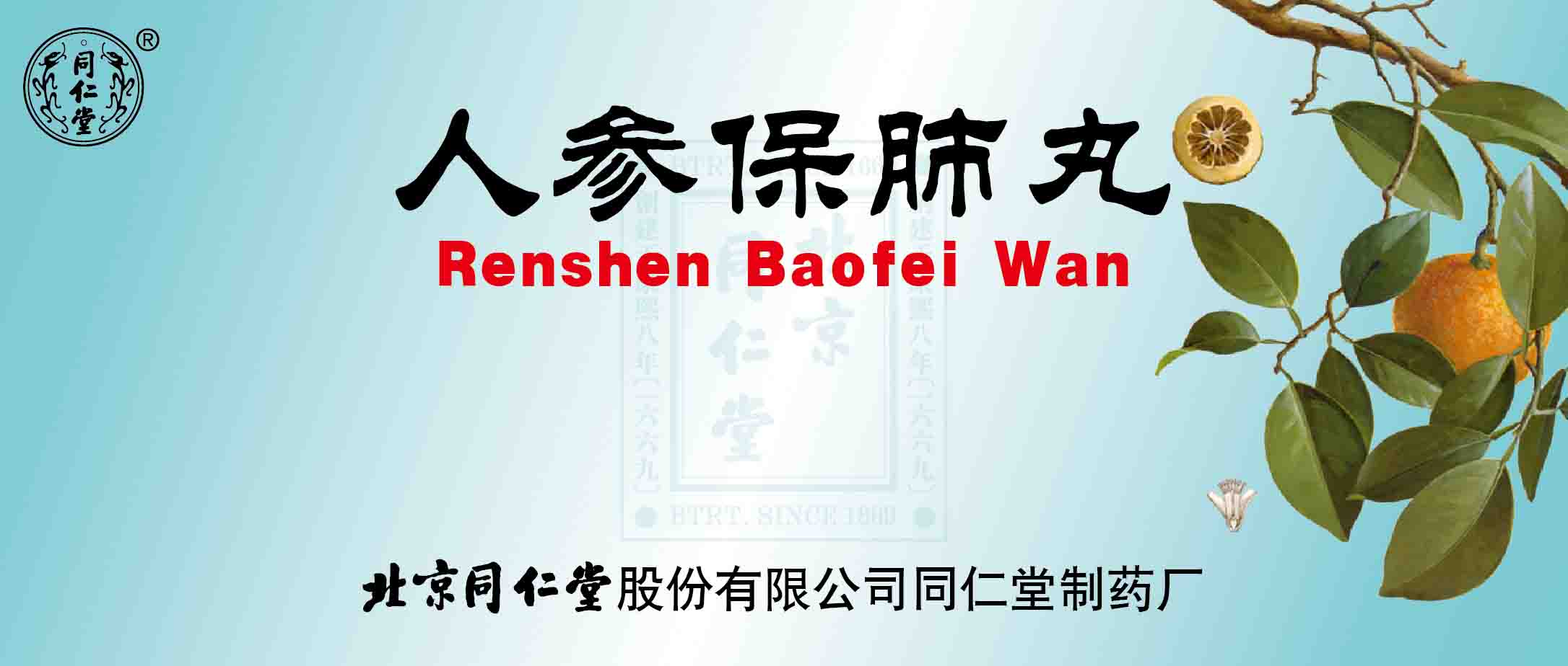 人参保肺丸