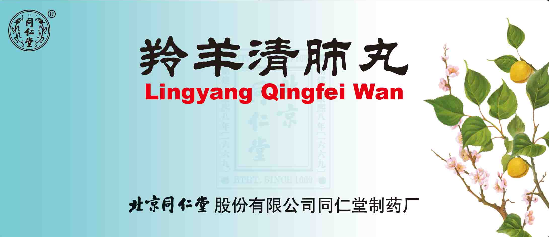 羚羊清肺丸