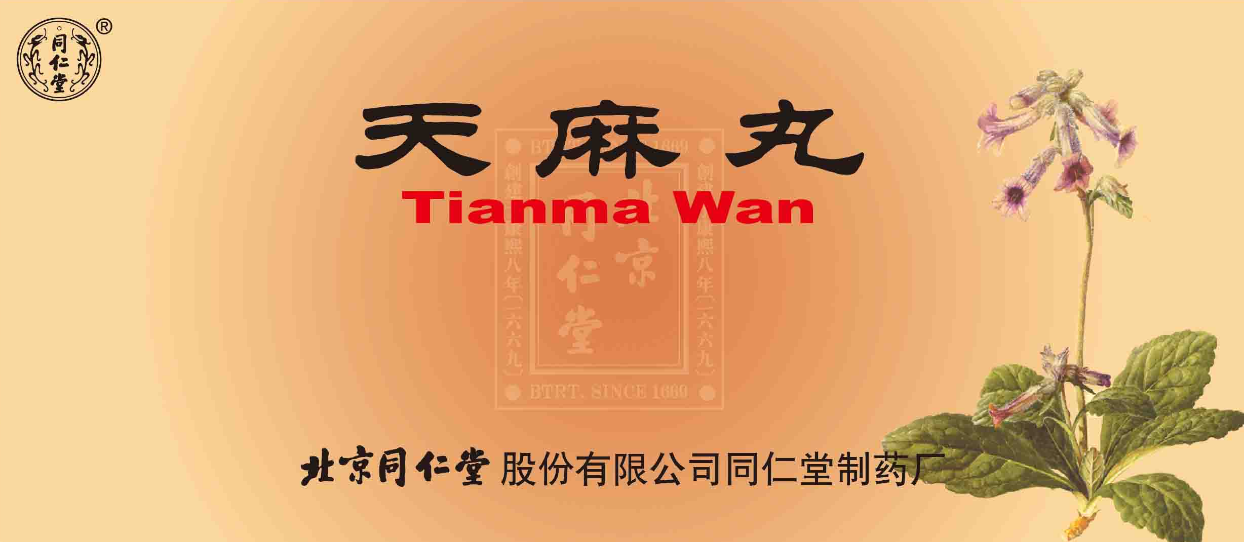 天麻丸