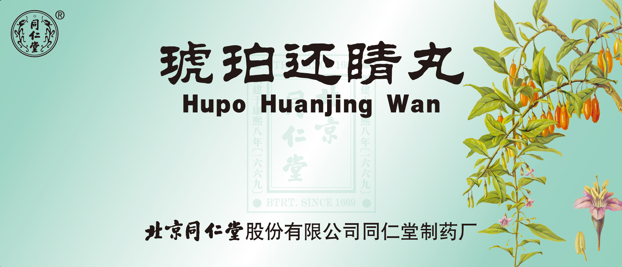 琥珀还睛丸