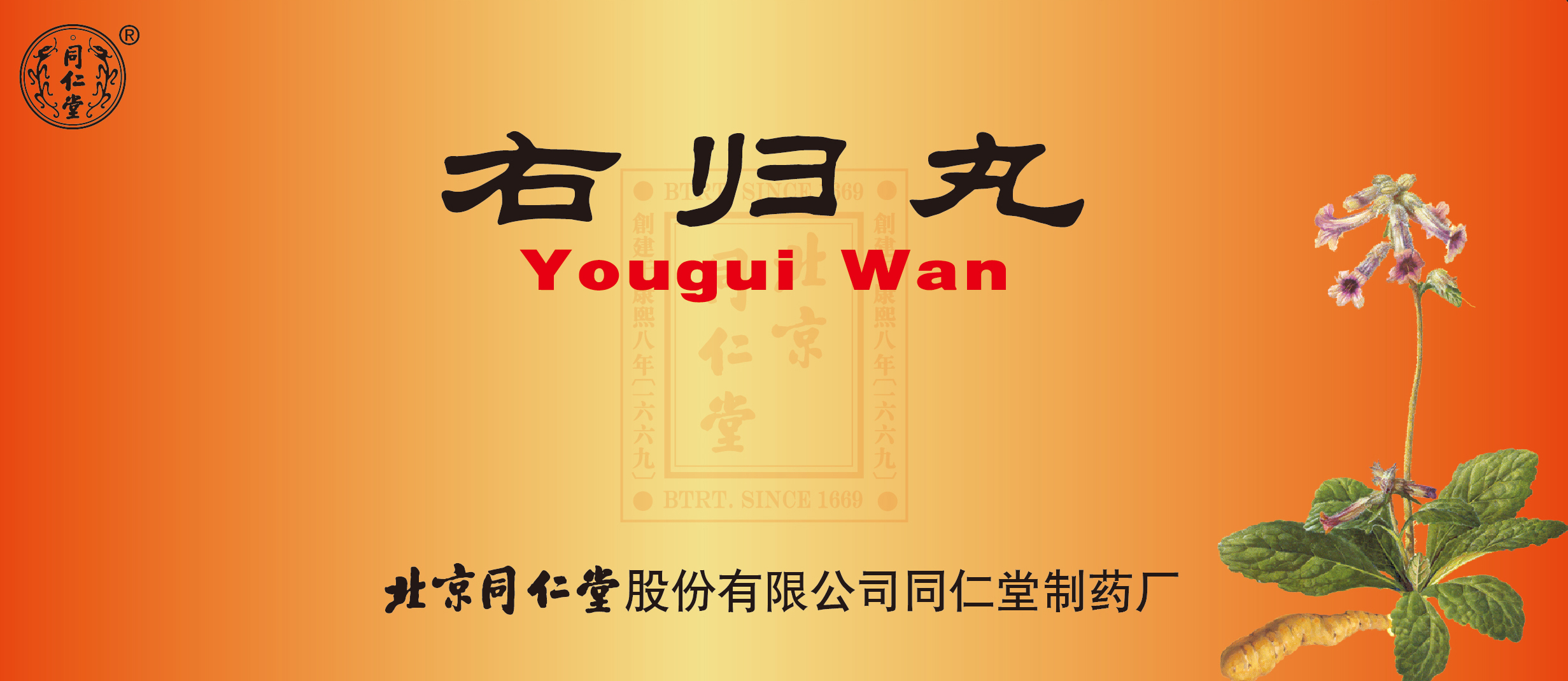右归丸