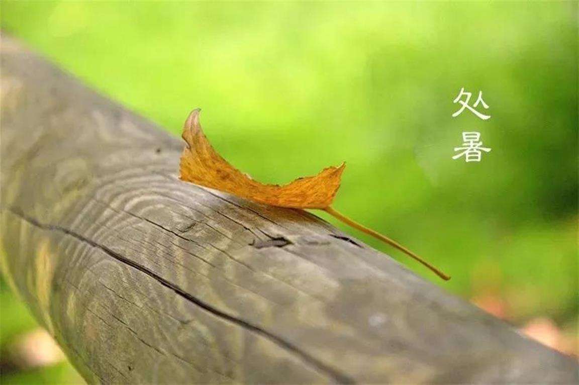 long8-唯一官方网站